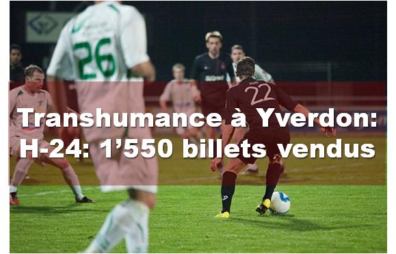 transhumance_yverdon_H-24