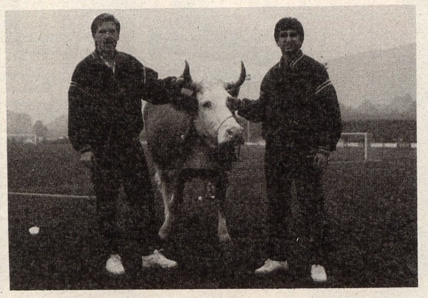 1987-88_eriksen-sinval